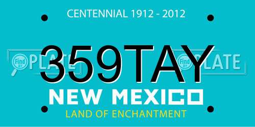 359TAY New Mexico License Plate