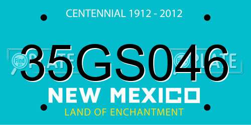35GS046 New Mexico License Plate