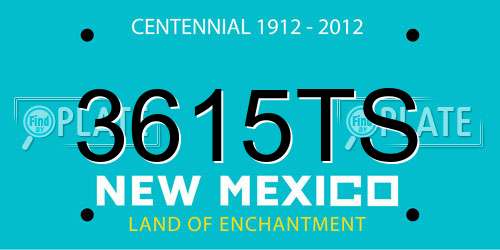 3615TS New Mexico License Plate