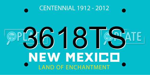 3618TS New Mexico License Plate