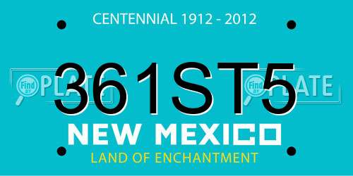 361ST5 New Mexico License Plate