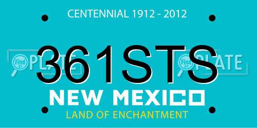361STS New Mexico License Plate