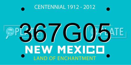 367G05 New Mexico License Plate