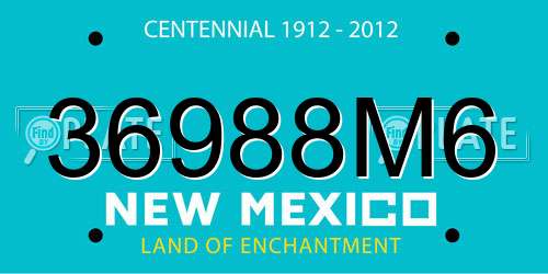 36988M6 New Mexico License Plate