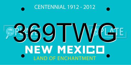 369TWG New Mexico License Plate