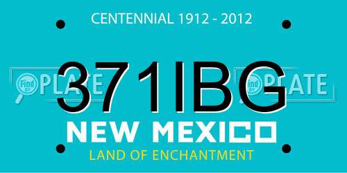 371IBG New Mexico License Plate