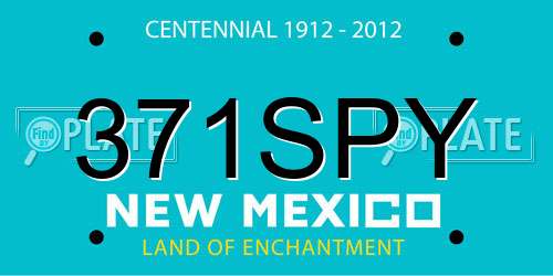 371SPY New Mexico License Plate