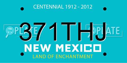 371THJ New Mexico License Plate