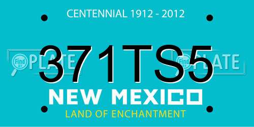 371TS5 New Mexico License Plate