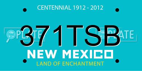 371TSB New Mexico License Plate