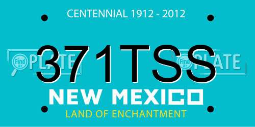 371TSS New Mexico License Plate