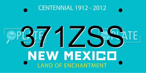 371ZSS New Mexico License Plate