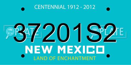 37201S2 New Mexico License Plate