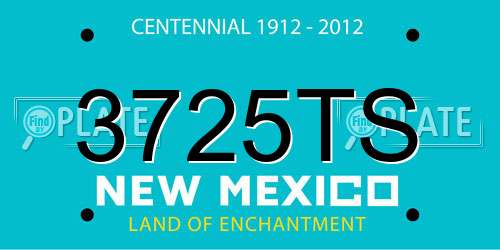 3725TS New Mexico License Plate