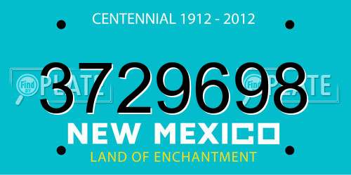 3729698 New Mexico License Plate