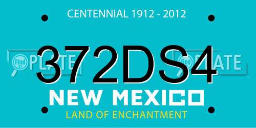 372DS4 New Mexico License Plate