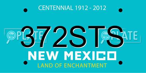 372STS New Mexico License Plate