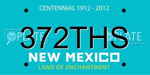 372THS New Mexico License Plate