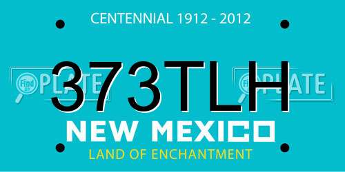 373TLH New Mexico License Plate