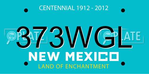 373WGL New Mexico License Plate