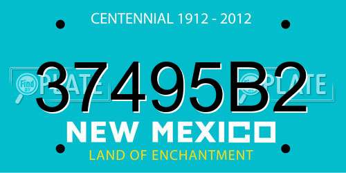 37495B2 New Mexico License Plate