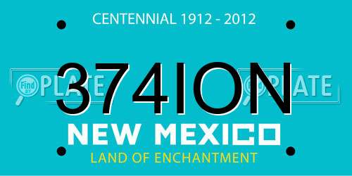374ION New Mexico License Plate