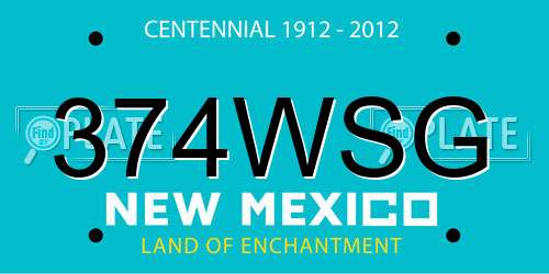 374WSG New Mexico License Plate