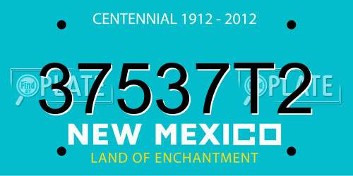 37537T2 New Mexico License Plate