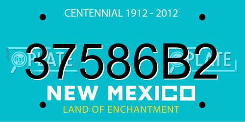 37586B2 New Mexico License Plate