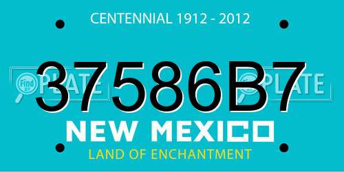 37586B7 New Mexico License Plate