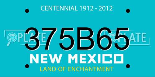 375B65 New Mexico License Plate