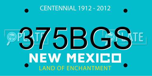 375BGS New Mexico License Plate