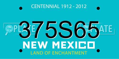 375S65 New Mexico License Plate