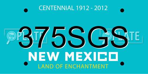 375SGS New Mexico License Plate
