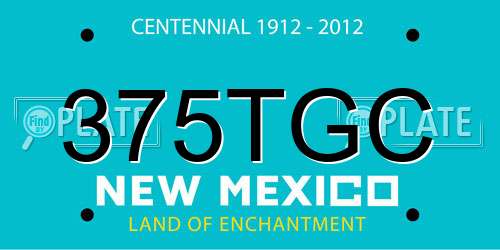 375TGC New Mexico License Plate