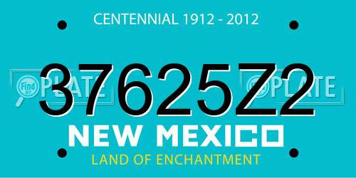 37625Z2 New Mexico License Plate