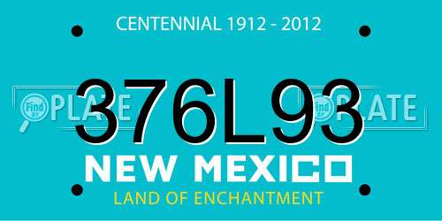 376L93 New Mexico License Plate