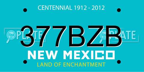 377BZB New Mexico License Plate