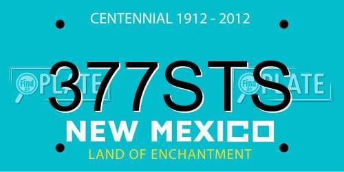 377STS New Mexico License Plate