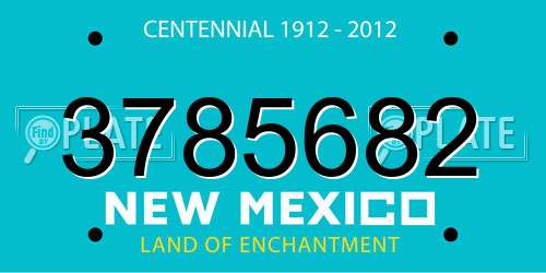 3785682 New Mexico License Plate