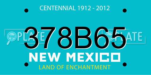 378B65 New Mexico License Plate