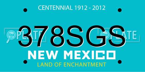 378SGS New Mexico License Plate