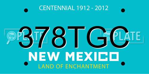 378TGC New Mexico License Plate