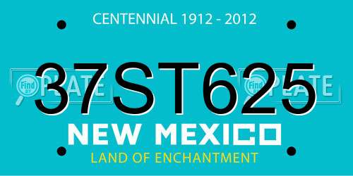 37ST625 New Mexico License Plate