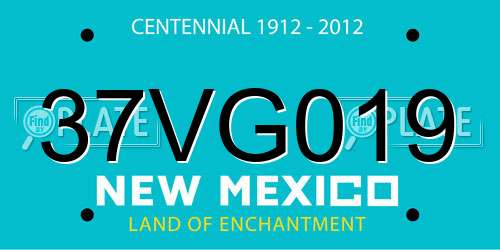 37VG019 New Mexico License Plate