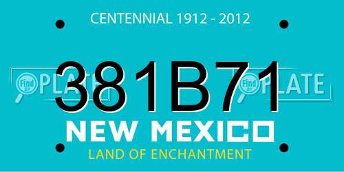381B71 New Mexico License Plate