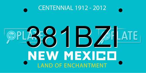 381BZI New Mexico License Plate