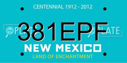 381EPF New Mexico License Plate