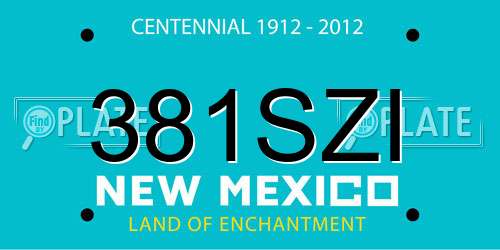 381SZI New Mexico License Plate