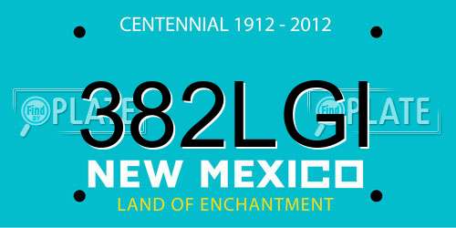 382LGI New Mexico License Plate
